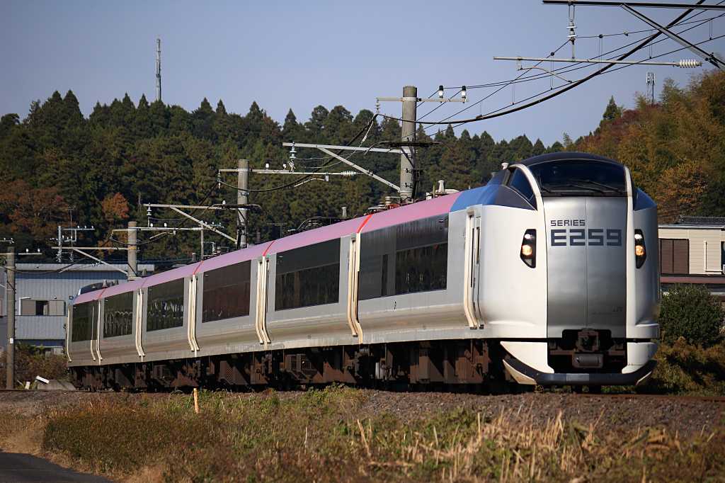 JR東日本E259系電車